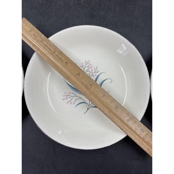 Alliance China Co. Regal Hand Decorated China Set - Platinum Rim -Chip on Saucer - Picture 8 of 16